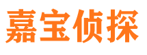 灯塔调查公司